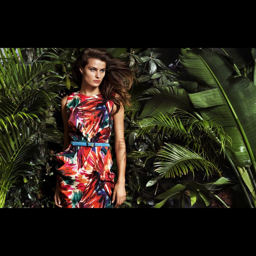 Ann Taylor Birds Of Paradise Asymm Dress Sz 14